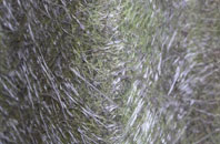 Lindow End fibreglass roof work